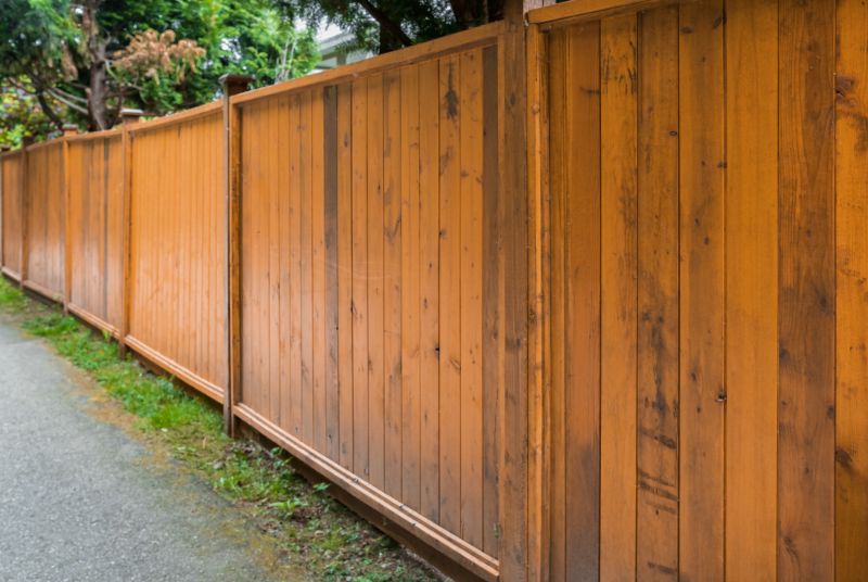 Privacy Fence Options